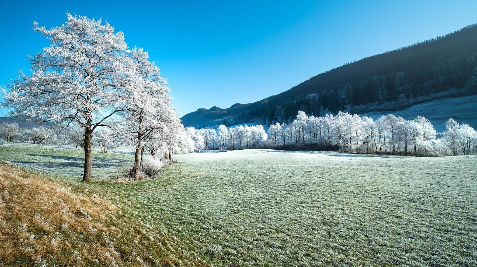 Alpen Apartment *